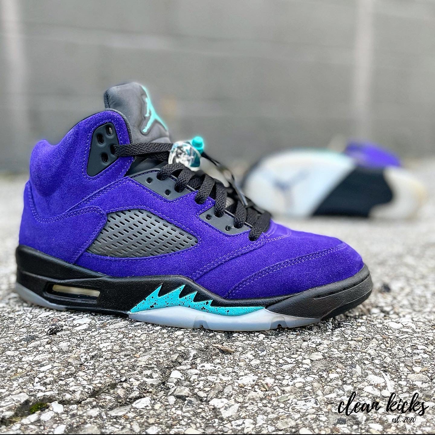 Air Jordan 5 Retro Alternative Grape Shoe Restoration Columbus Ohio